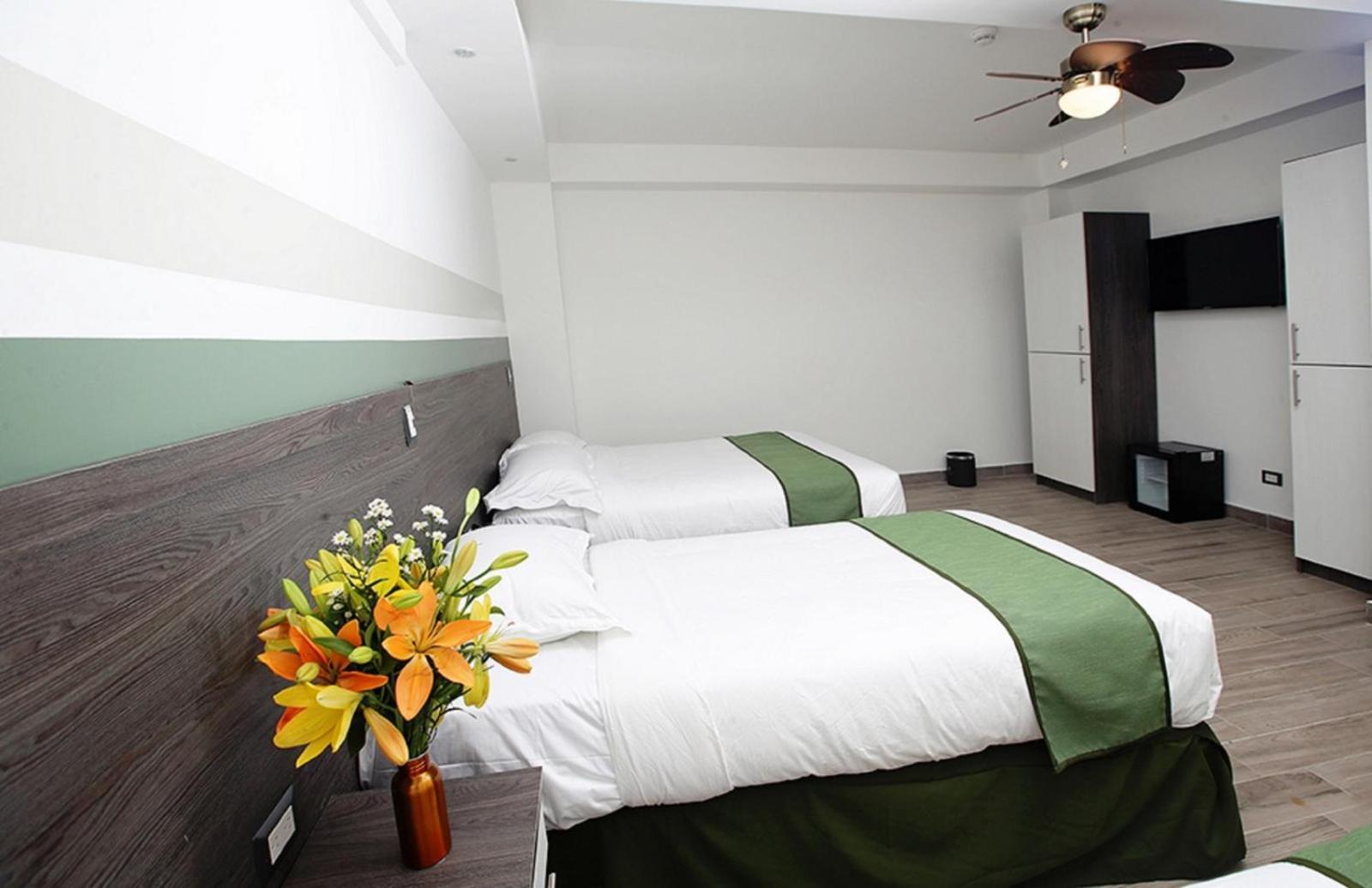 Hotel Cultura Plaza San José Dış mekan fotoğraf